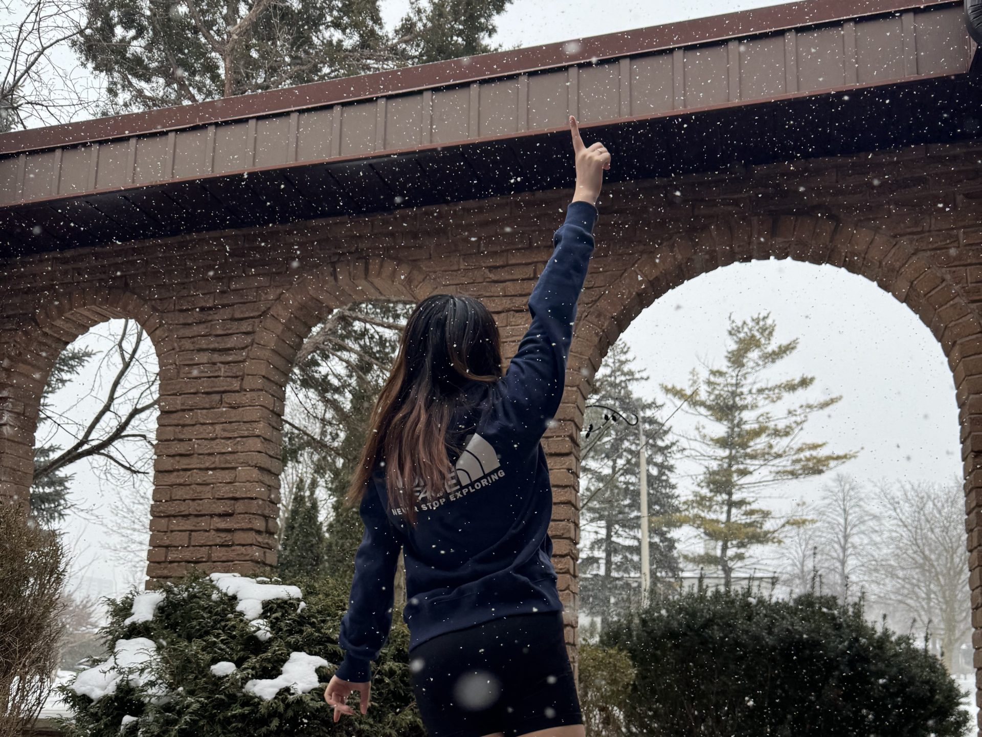 estudiar en estados unidos