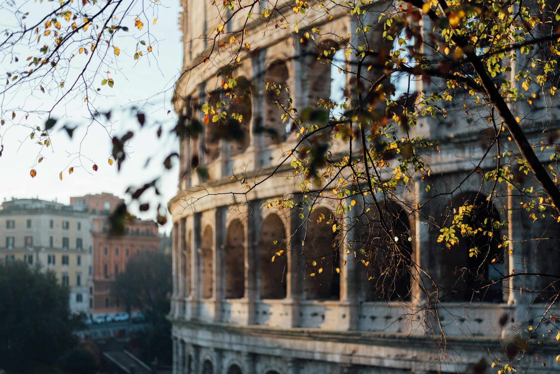 intercambio para italia